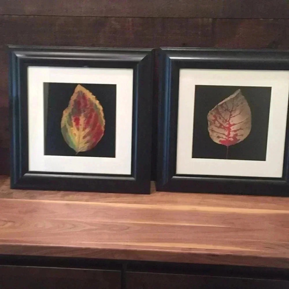 Wall Pictures-2 - Picture 1 of 8